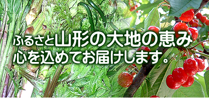�դ뤵�Ȼ��������Ϥηäߤ��Ϥ����ޤ���